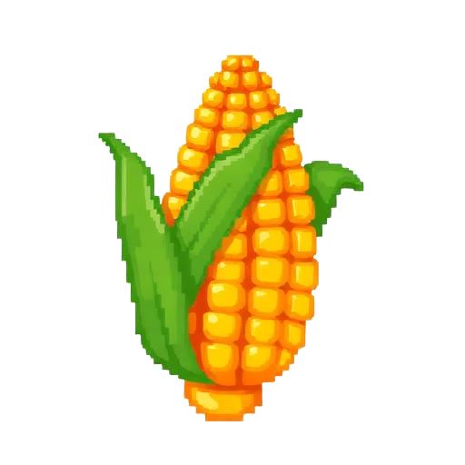 Corn