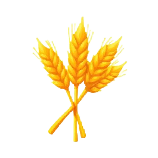 Wheat